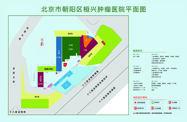 爆操出包浆北京市朝阳区桓兴肿瘤医院平面图